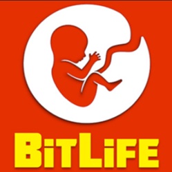 How To Play BitLife On TinyPlay Games