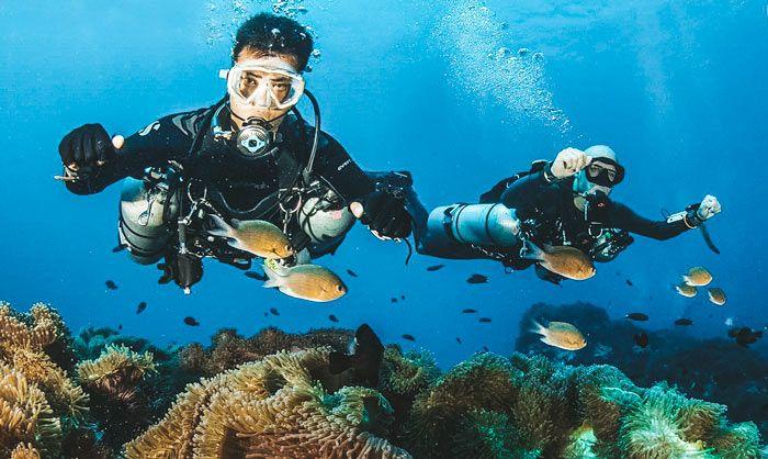 Unveiling the Depths: A Comprehensive Exploration of Koh Tao Dive Courses
