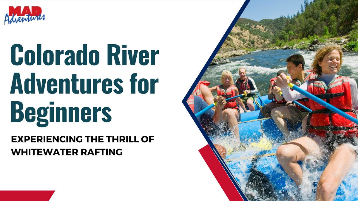 Colorado River Adventures for Beginners: Experiencing the Thrill of Whitewater Rafting