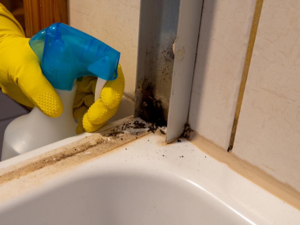 Innovative Tools and Gadgets for Effortless Tile and Grout Cleaning