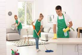 Home Cleaning Services: Elevating Your Sanctuary to New Heights