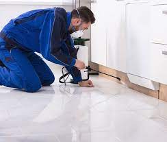 The Role of Pest Control in Maintaining a Healthy Home Environment