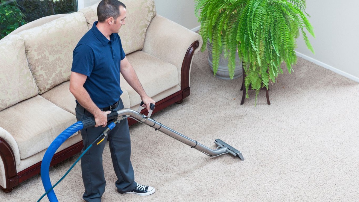 The Ultimate Guide to Removing Common Carpet Stains