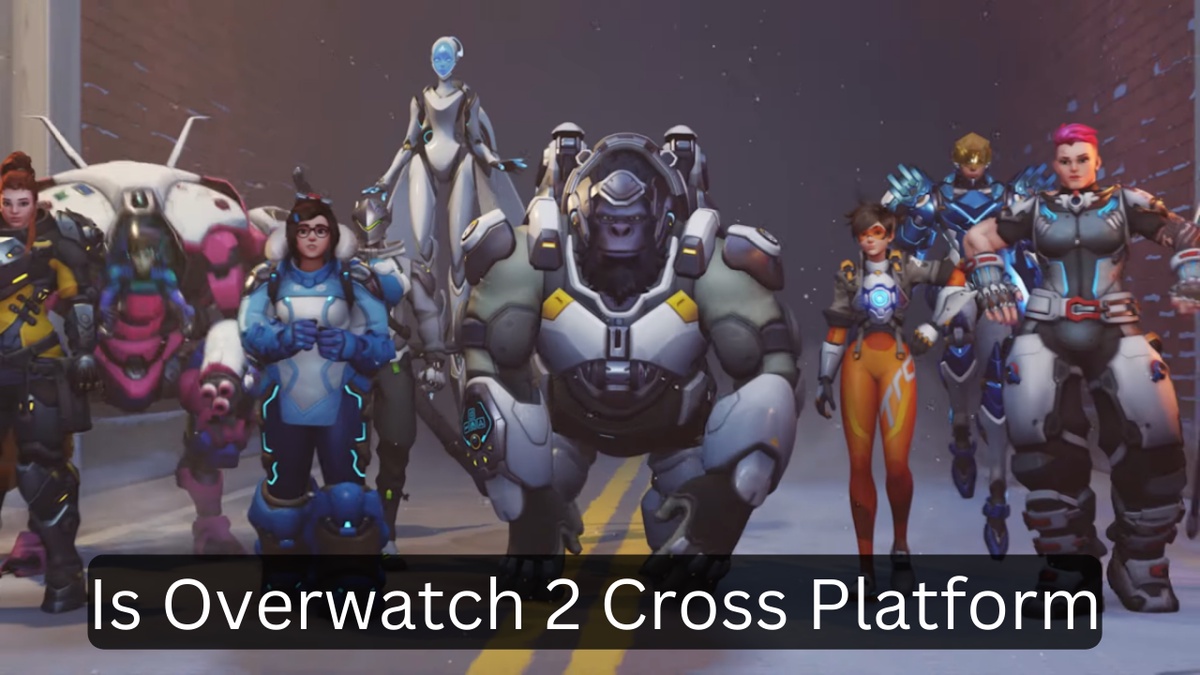 Is Overwatch 2 Cross Platform or Crossplay?