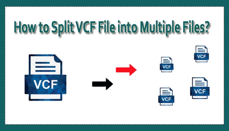 How to Swiftly Split Single VCF File to Multiple Formats