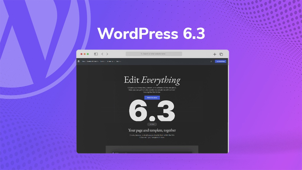 WordPress 6.3 Update: Exploring In-Depth Insights