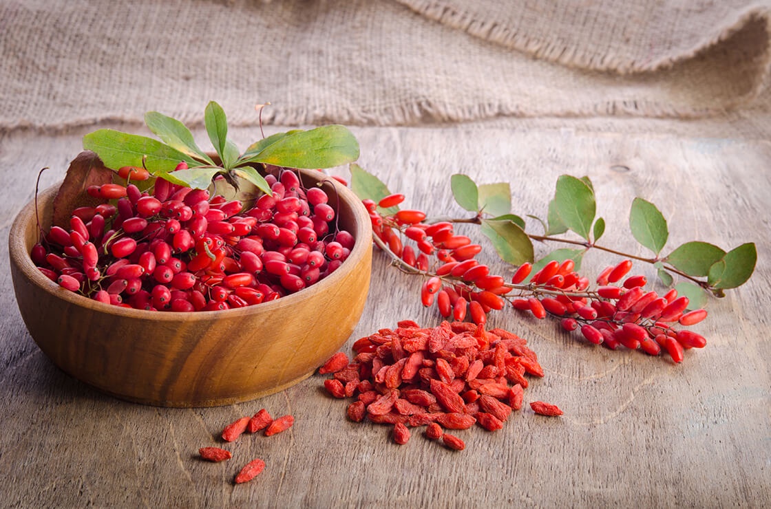 Goji Berries: An Ultimate Guide to Boosting Your Wellness