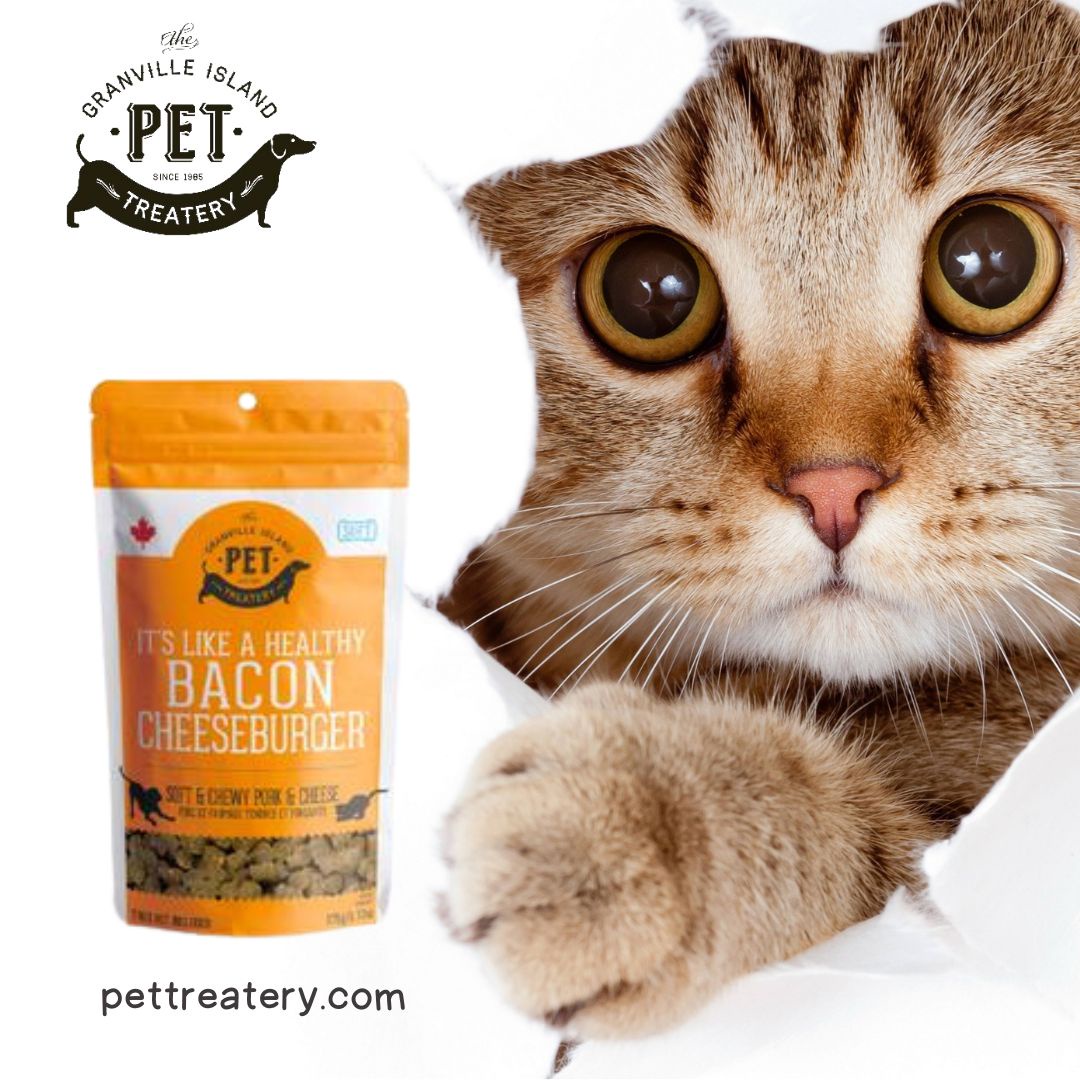 Treat Time for Your Kitty: Explore Tempting Cat Treats