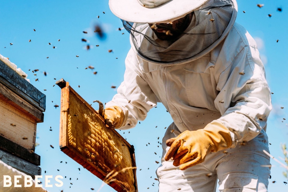 The Significance of Beekeepers Suits: Understanding Their Role in Beekeeping Safety