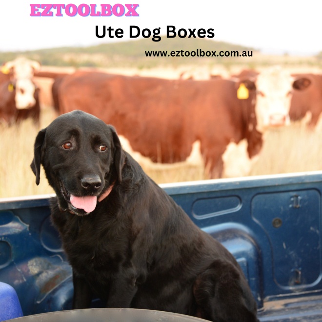 Ultimate Guide to Ute Dog Boxes: Choosing, Installing, and Using for Safe Pet Transport