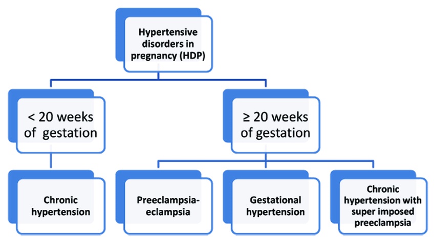 "Bridging Blood Pressure: Navigating the Complex Landscape of Hypertensive Disorders in Pregnancy"