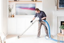 From Filthy to Fabulous: Uncover the Art of Carpet Cleaning for a Pristine Living Space