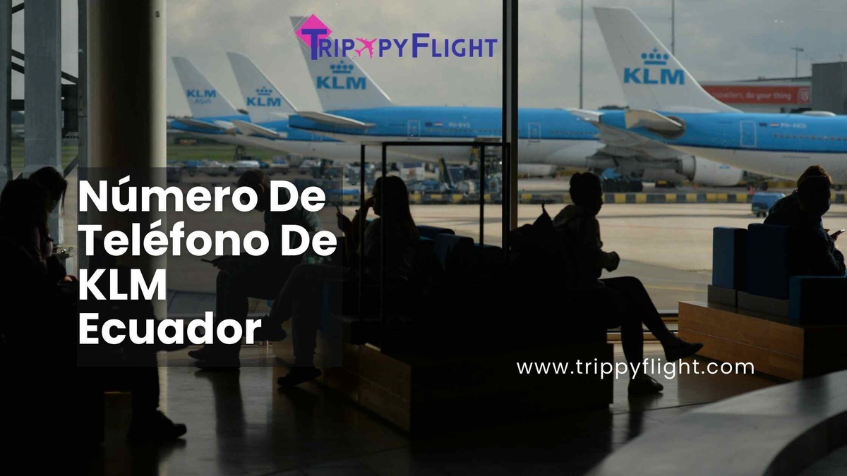 Navegando Ecuador con Facilidad: Una Guía de los Servicios de Telecomunicaciones de KLM