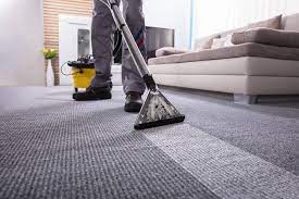 How Often Should You Professionally Clean Your Carpets?