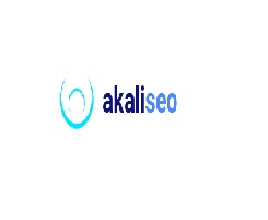Elevate Your Business with Akali.com.au's SEO Expertise and Website Design Excellence