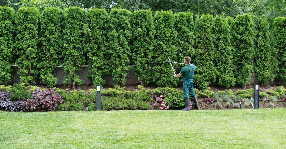 How to Choose the Right Landscaping Company