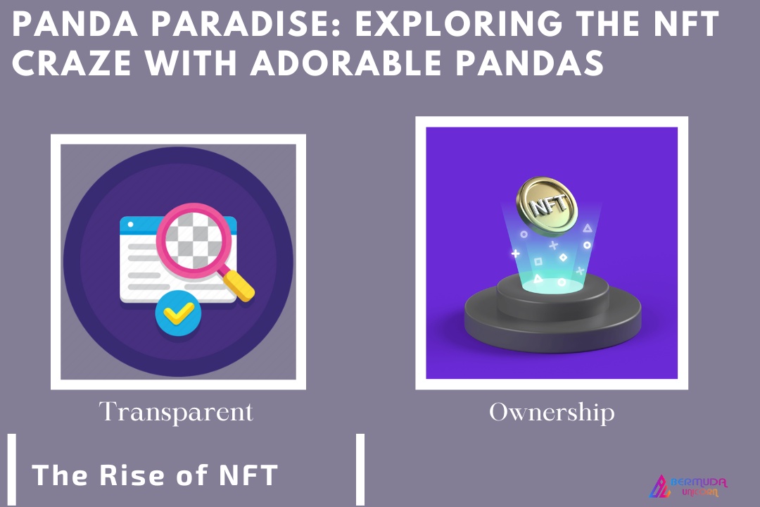 Panda Paradise: Exploring the NFT Craze with Adorable Pandas