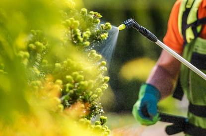 Nurturing Growth: Exploring the Best Chemical Fertilizers Suppliers in Dubai