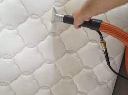 Unveiling the Hidden Secrets of Carpet Cleaning in Perth: What You Need to Know