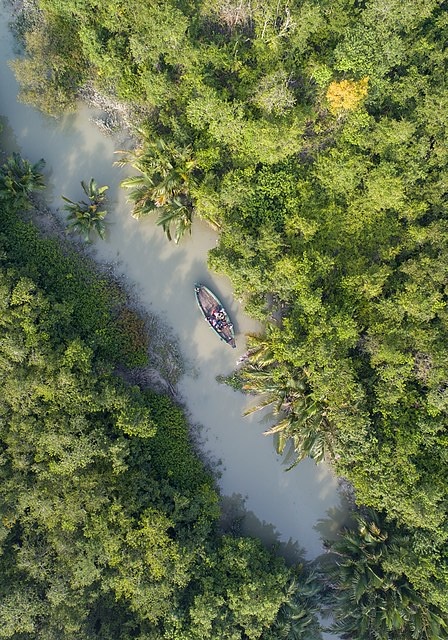 Meditative Trails: Exploring Sundarbans' Nature Walks for Inner Reflection