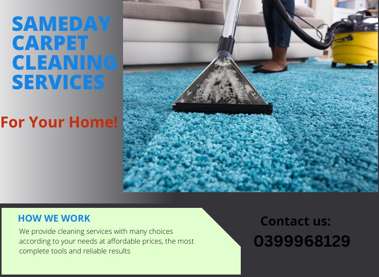 Step into Clean: Elevate Your Space with Professional Carpet Cleaning Services
