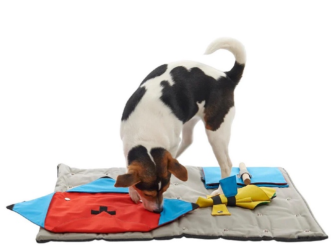 Interactive Indulgence: Enhancing Playtime with Dog Treat Dispensers