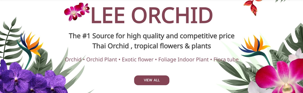 Local Nurseries Vs Online Orchid Stores: Who Can Help You Better?