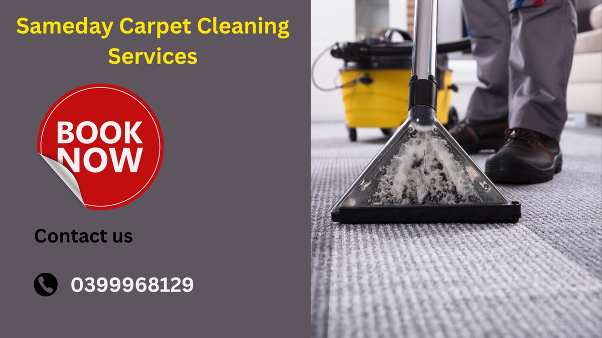 Clean, Fresh, and Vibrant: Carpet Cleaning Services That Transform Homes