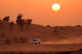 Unveiling the Magic of the Dunes: An Unforgettable Evening Desert Safari with Desert Planet Tourism