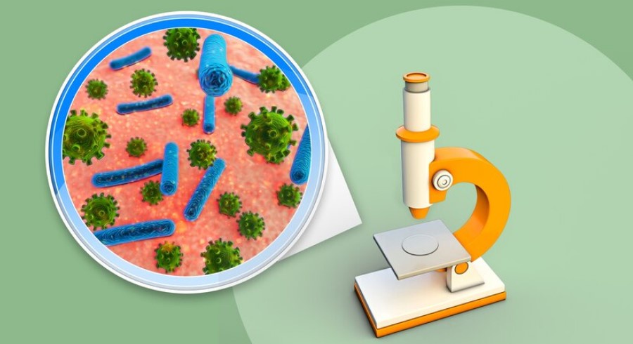 How Do Humans Use Microbes