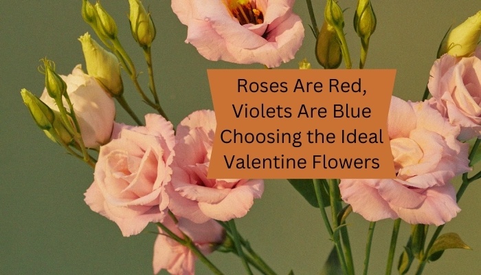 Roses Are Red, Violets Are Blue: Choosing the Ideal Valentine Flowers