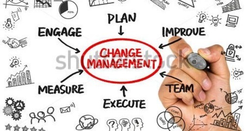 Navigating Transformation: The Power of Change Management Solutions