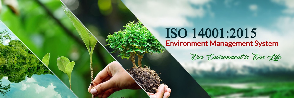 The Significance of Brand Ambassadors in ISO 14001 Certification in Pakistan