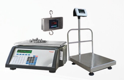 Digital Weighing Balances For The Perfect Measurements