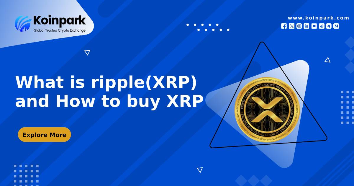 What is ripple(XRP) and How to buy XRP:  XRP to INR