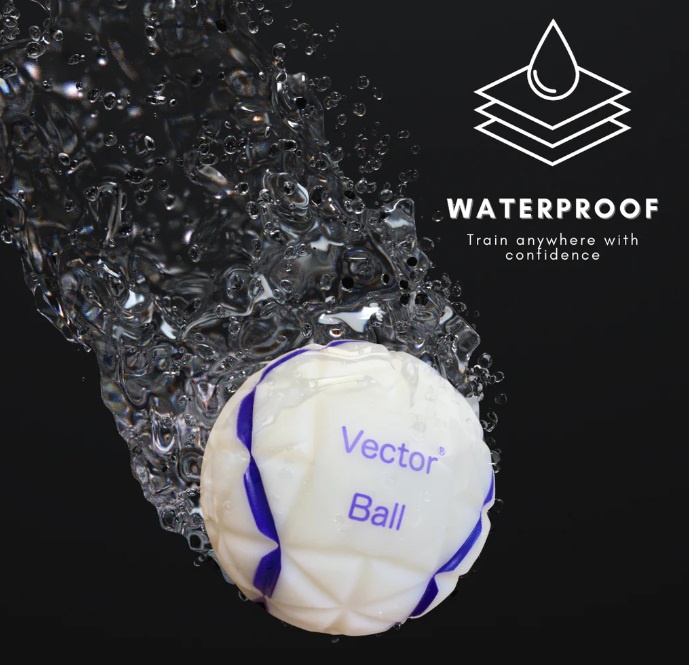 Explore Vector Ball's excitement in the dynamic world of sports