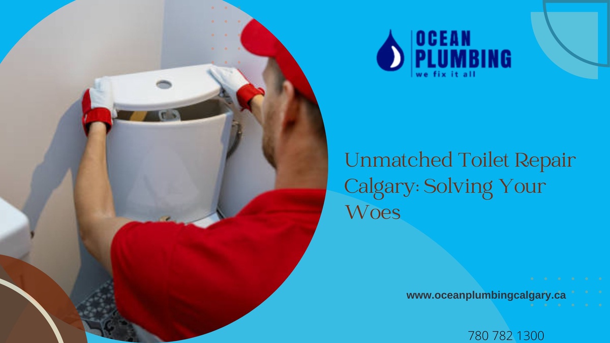 Unmatched Toilet Repair Calgary: Solving Your Woes