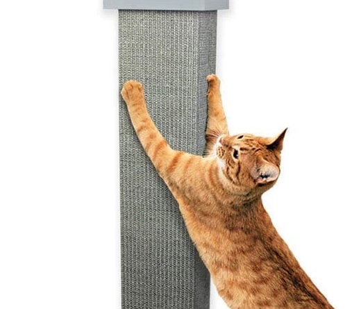 The Ultimate Guide to Choosing a Smart Cat Scratching Post