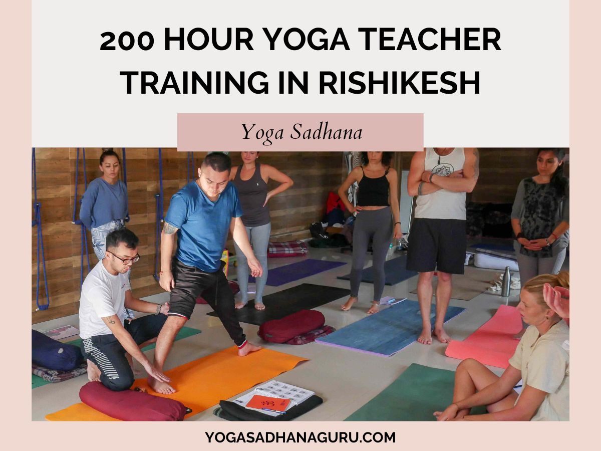 Embark on a Transformative Journey with 200 Hour Yoga Teacher Training in Rishikesh