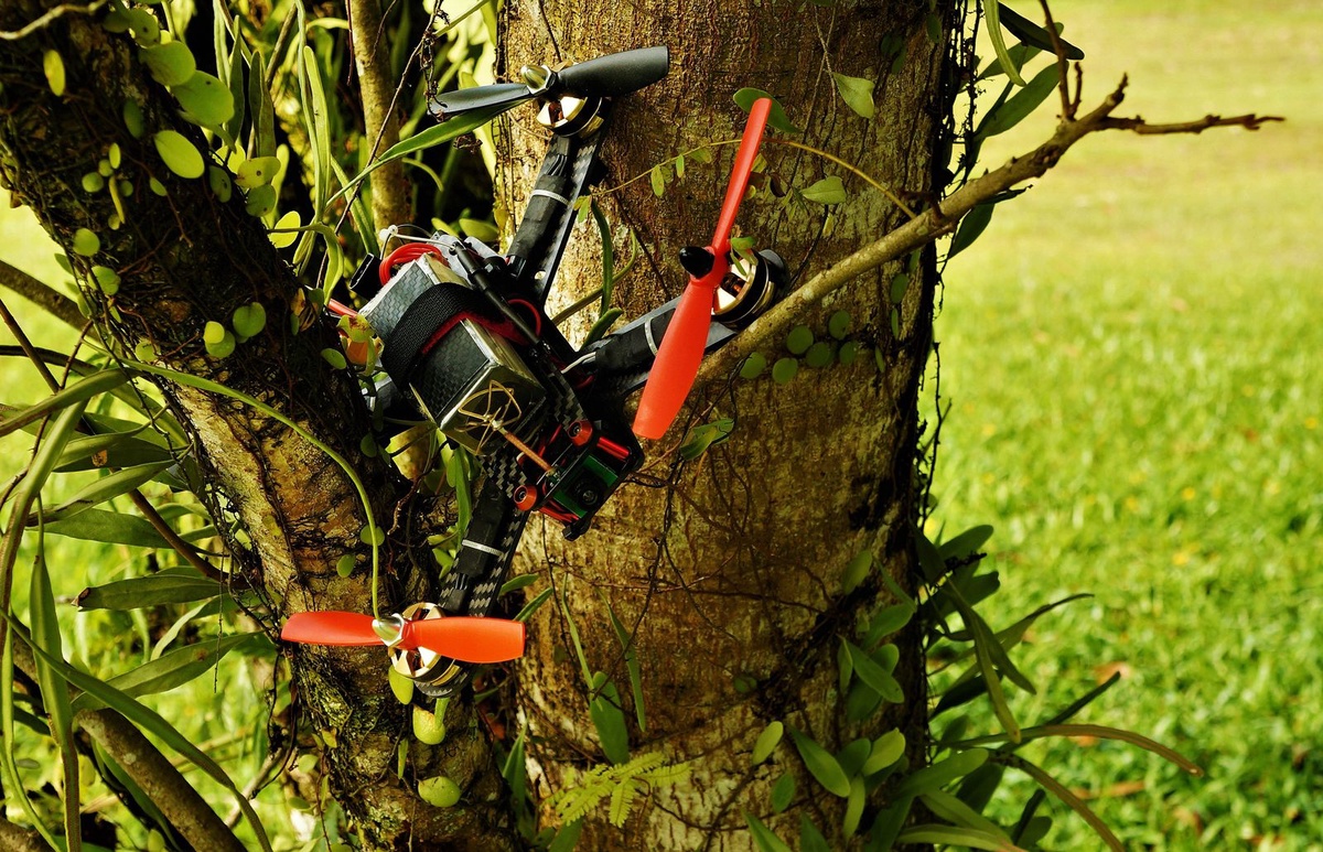 Drones and Grinders: A Dynamic Duo for Superior Tree Services
