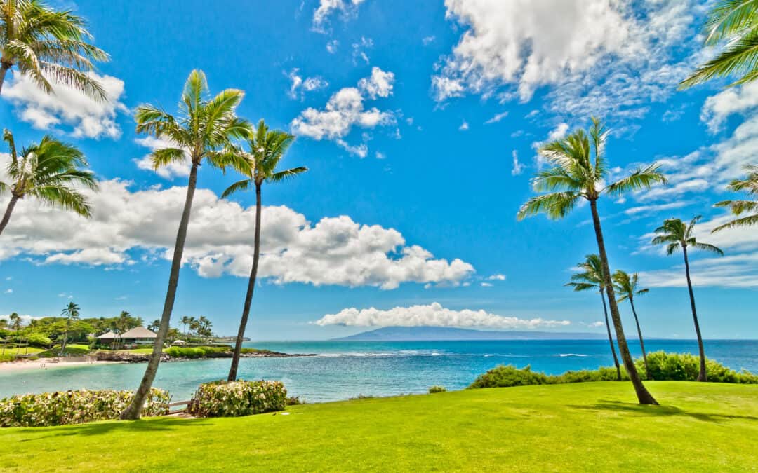 A Tropical Paradise Unveiled: Exploring the Current Charms of Hawaii