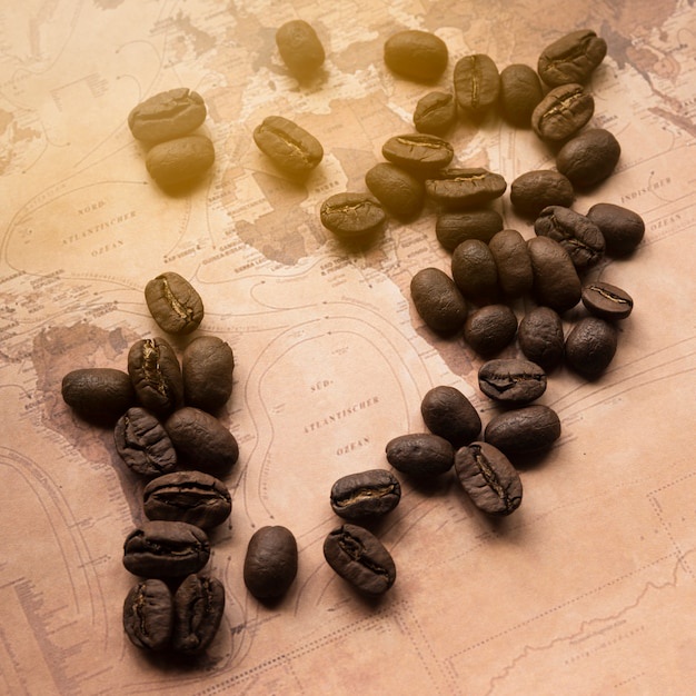 The Art of the Brew: Unlocking the Magic of High-Quality Coffee Beans