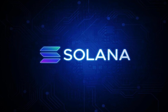 Empowering Developers: A Journey into Solana's Blockchain Development Realm