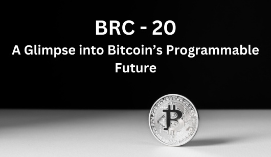 BRC-20 Adoption: A Glimpse into Bitcoin’s Programmable Future