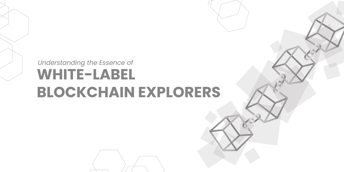 Understanding the Essence of White-Label Blockchain Explorers