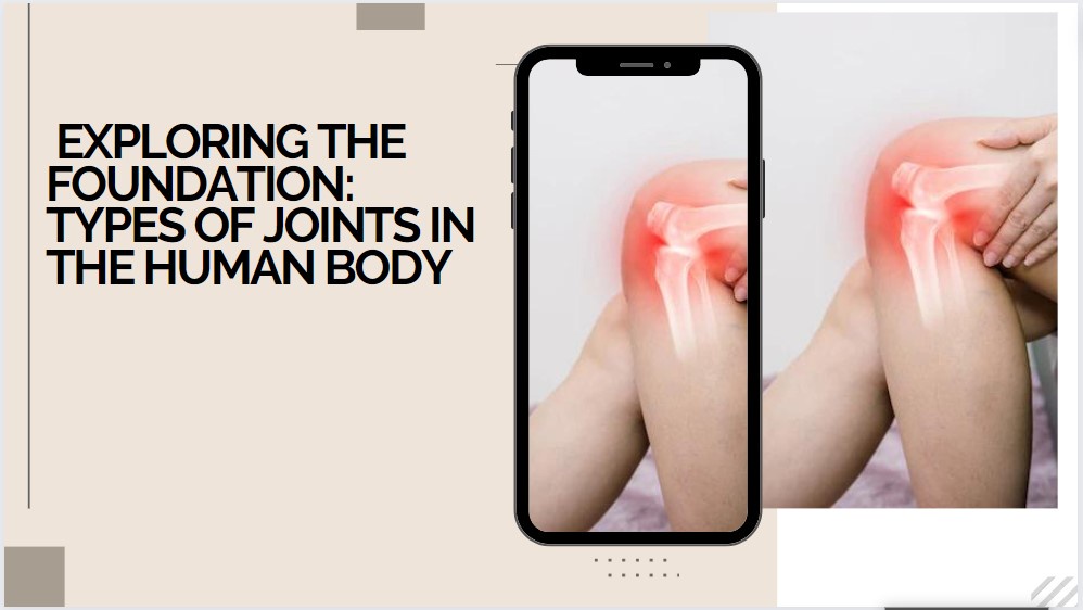 Exploring the Foundation: Types of Joints in the Human Body