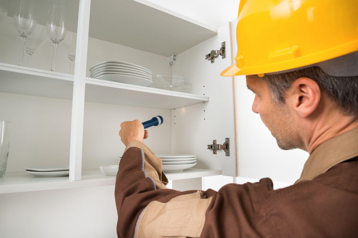 How Professional Pest Inspection Can Save You Time and Money?