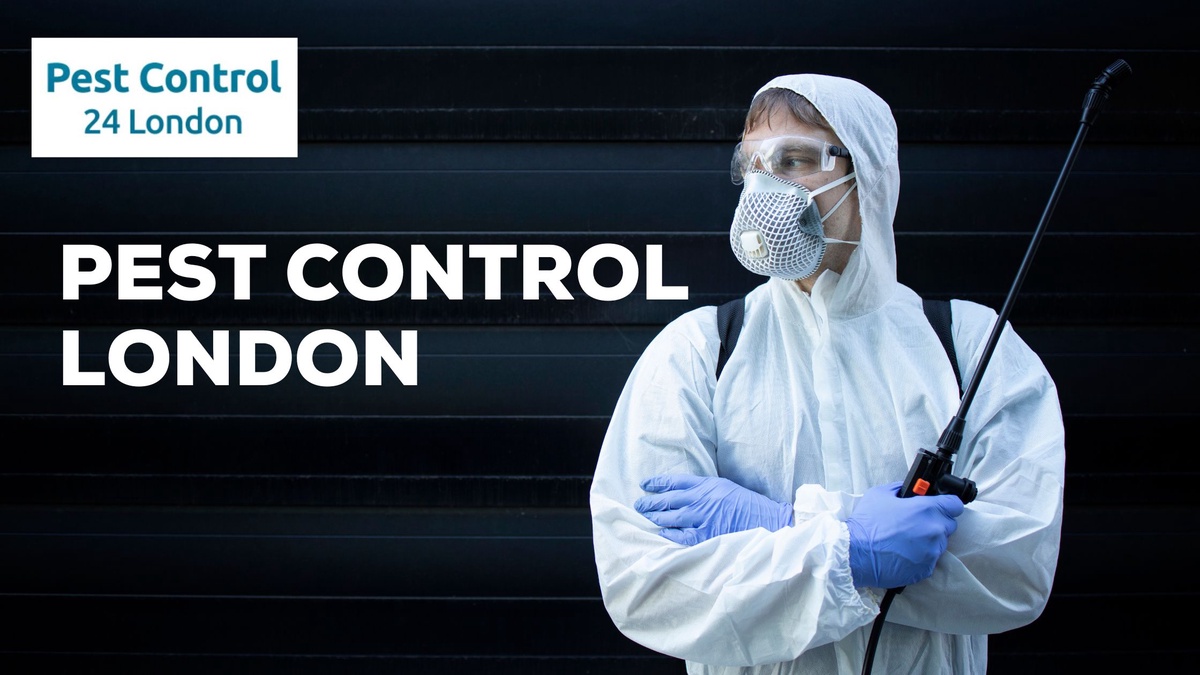 Managing Pest Control in London: Guardians of Clean Spaces