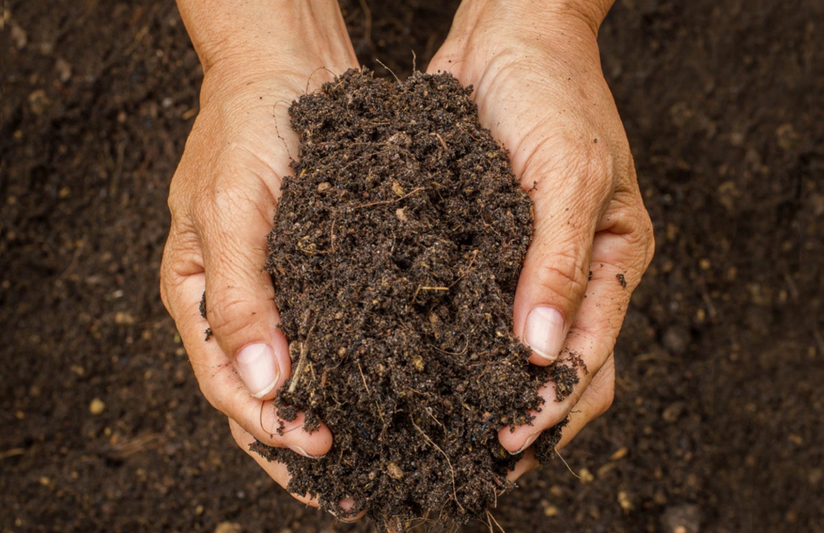 Beneath the Surface: Exploring Soil Conditioners for Crop Health