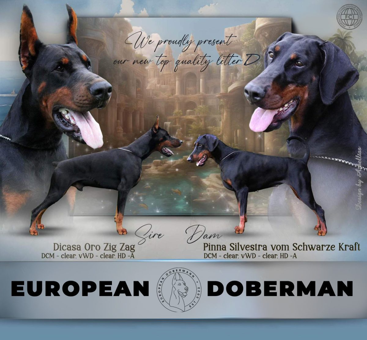 Calm Canines: Stress-Relief Techniques for European Dobermans and Their Owners